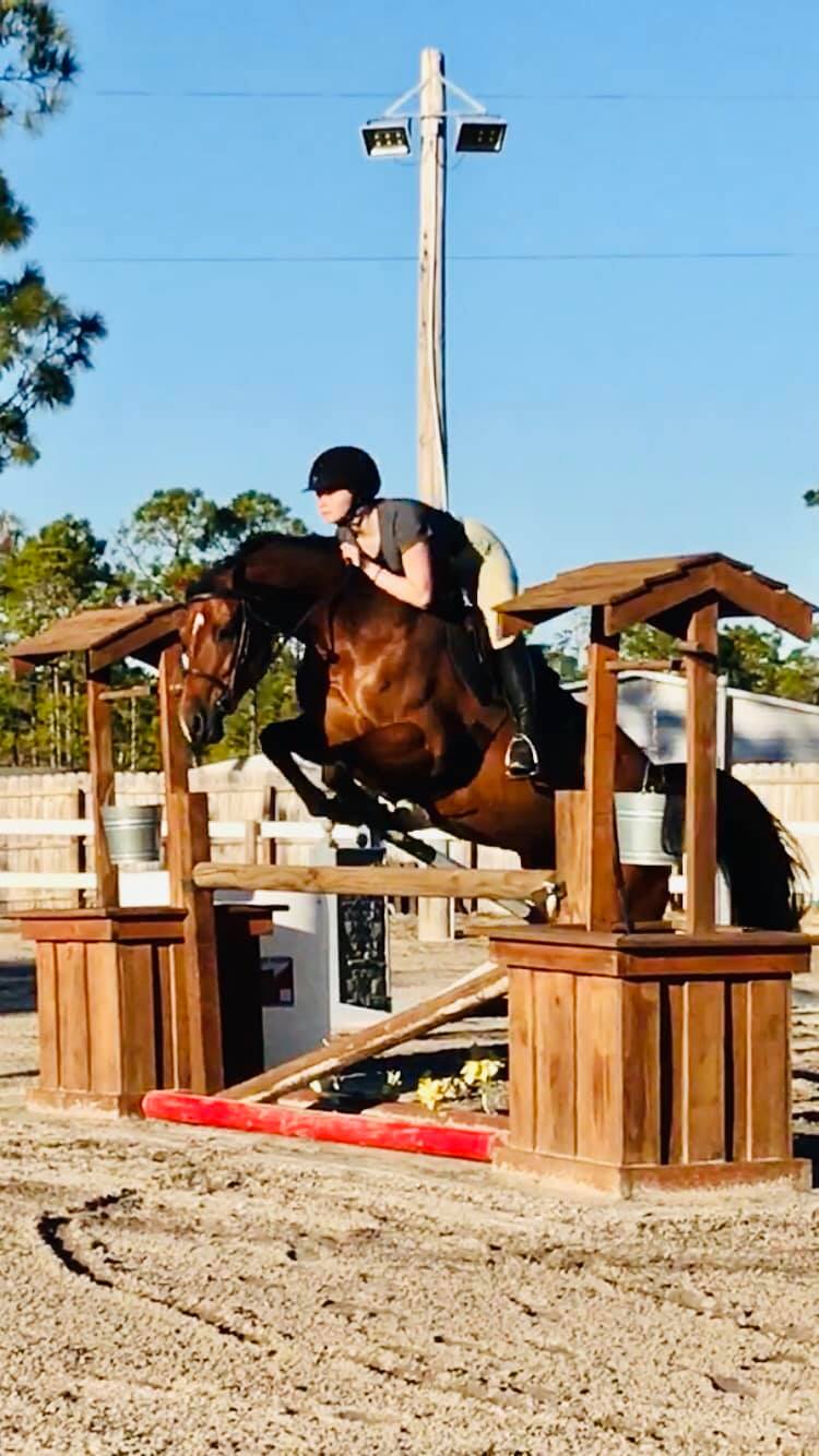 Horse and rider jumping