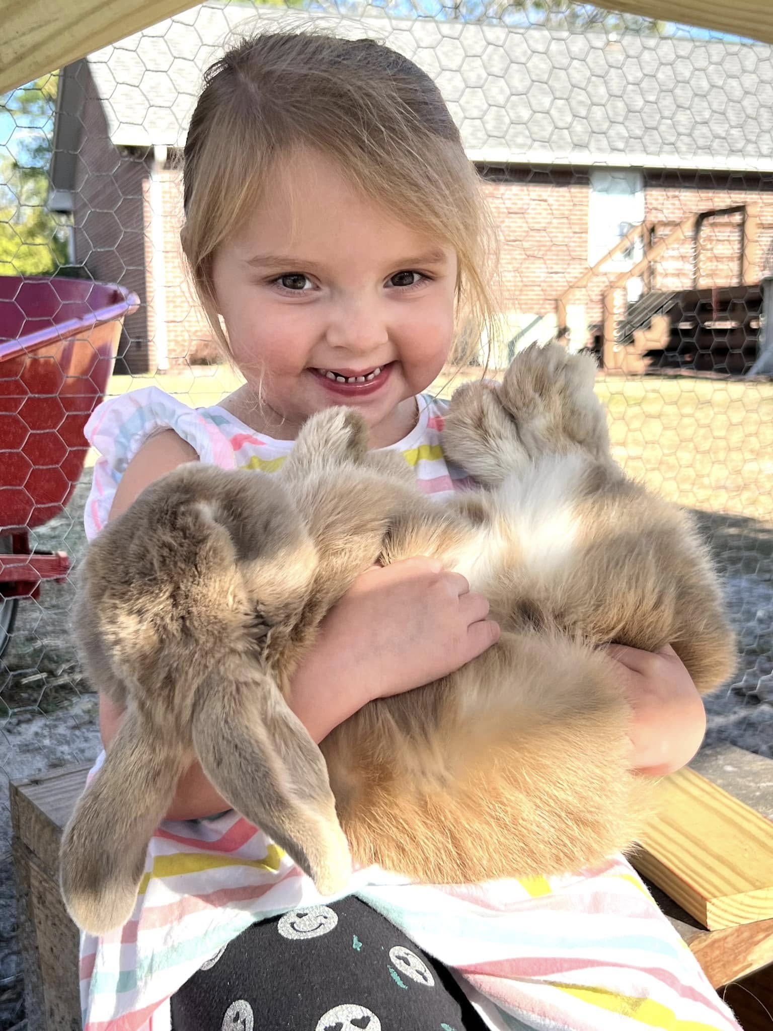 Girl holding a bunny