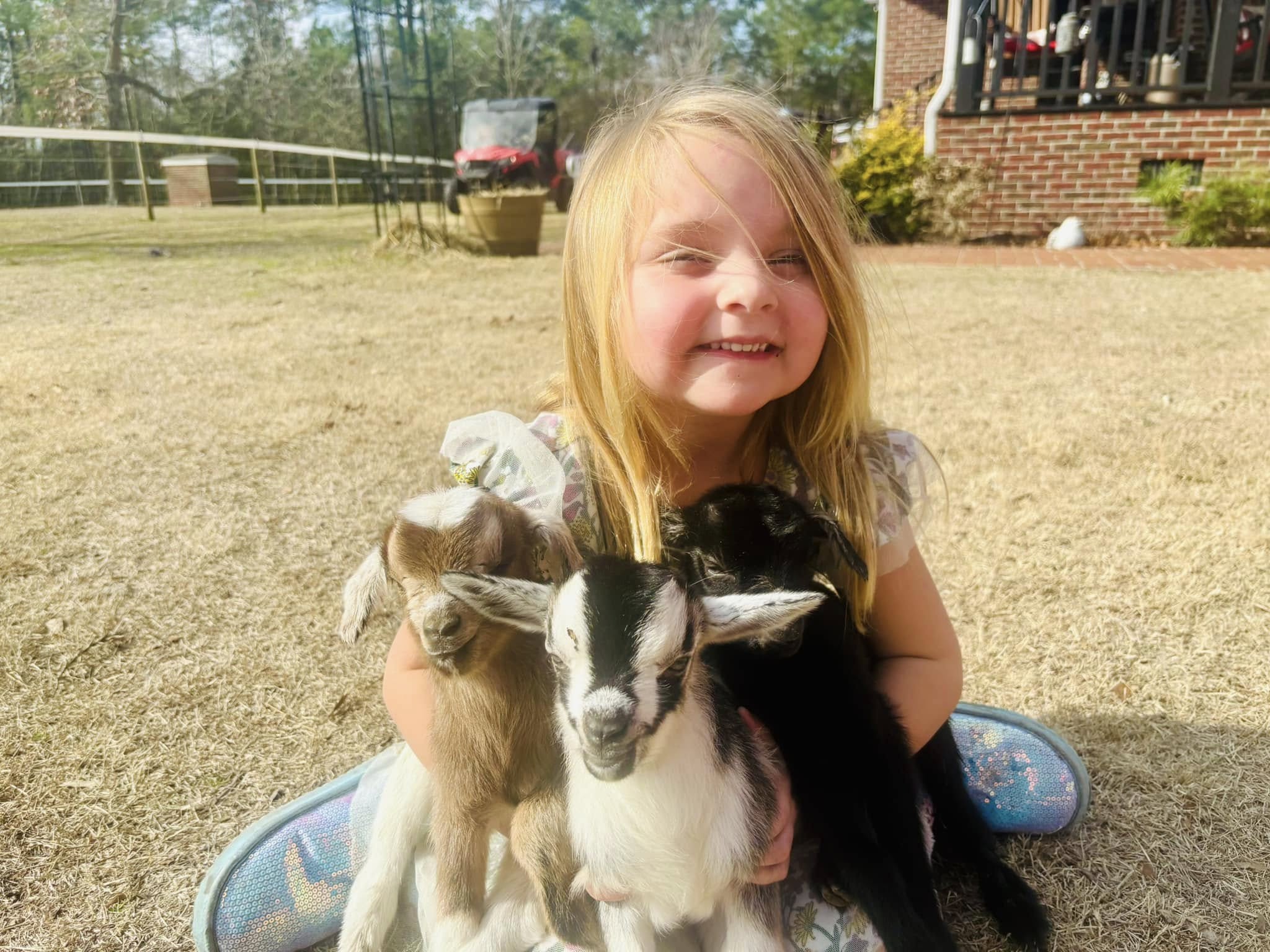 Girl holding three baby goats