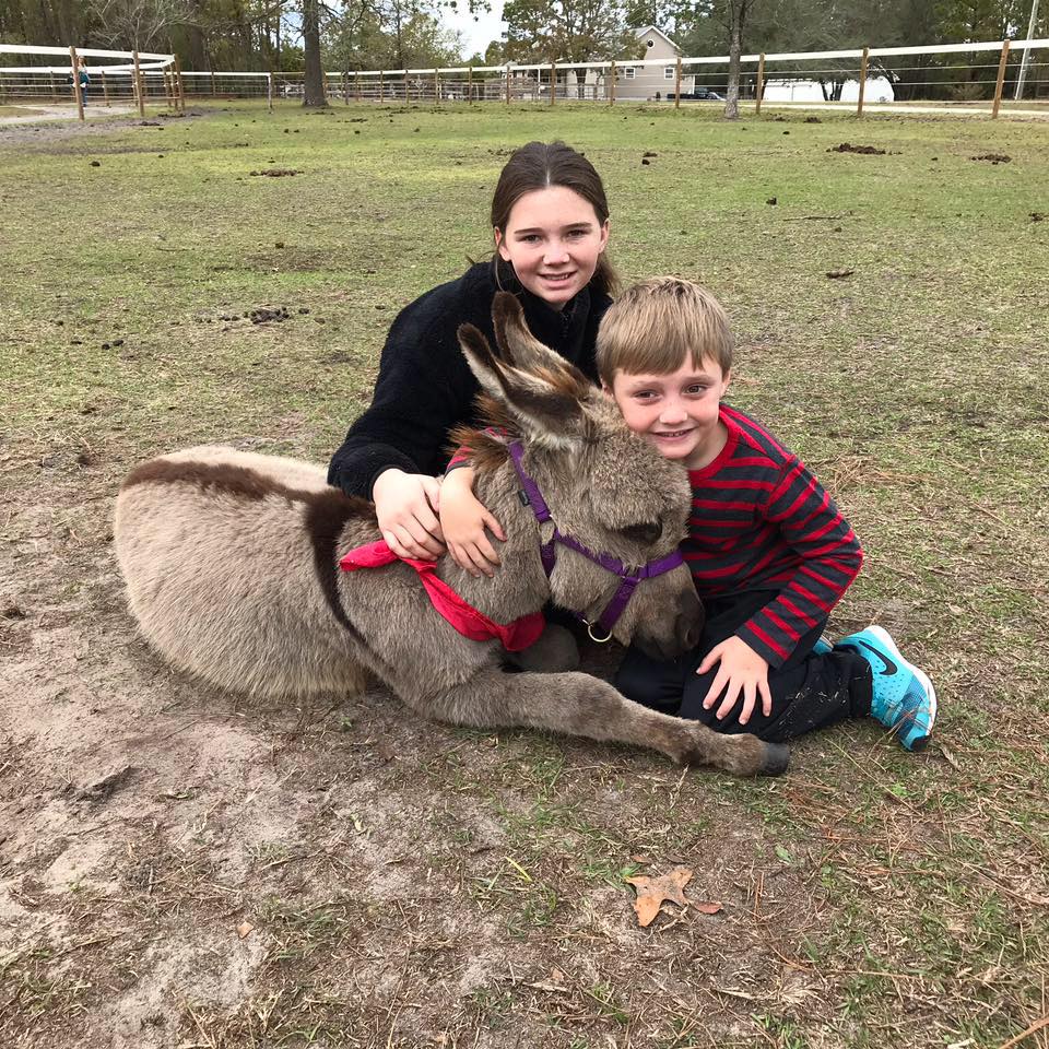 Kids hugging donkey