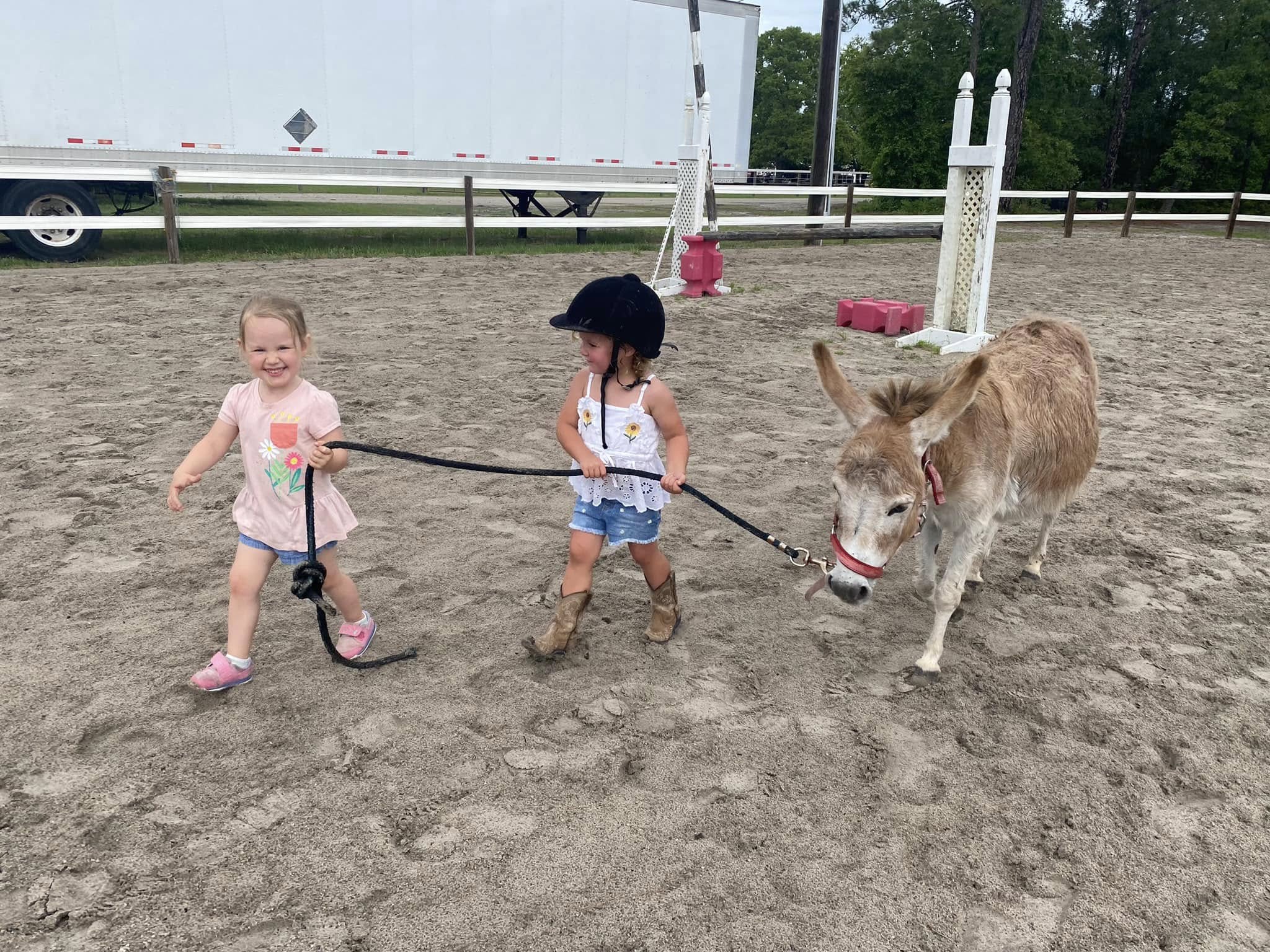 Two girls walking a donkey