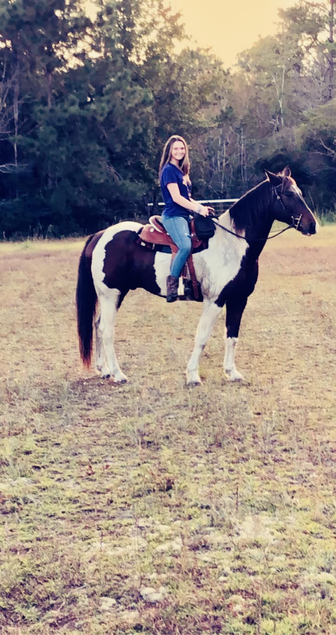 Rider on horse in field